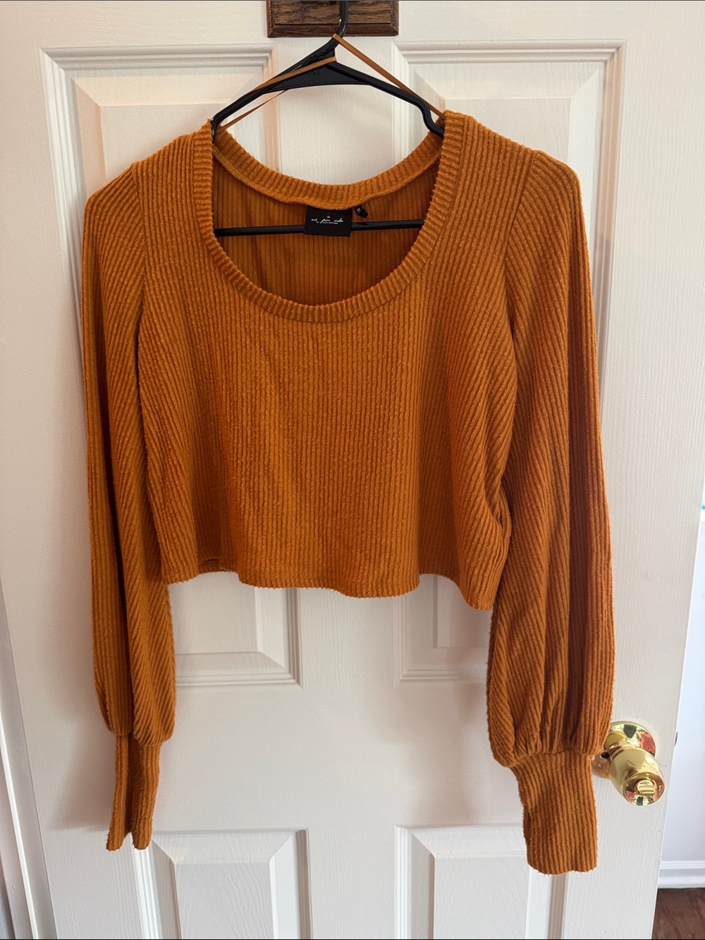 Urban Outfitters Ribbed Long Sleeve Cropped Tee in Rust